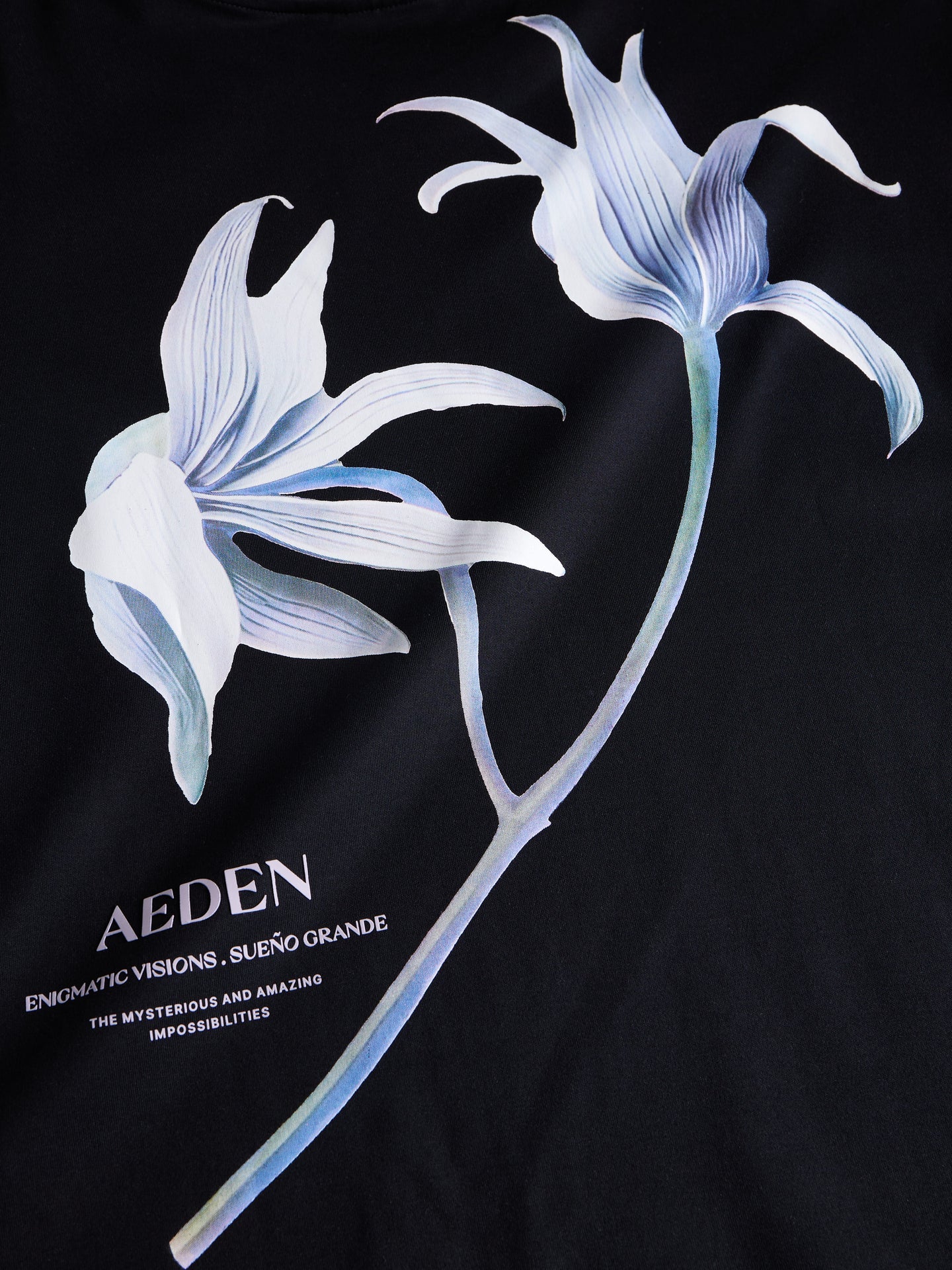 AEDEN | MISTY TEE - BLACK