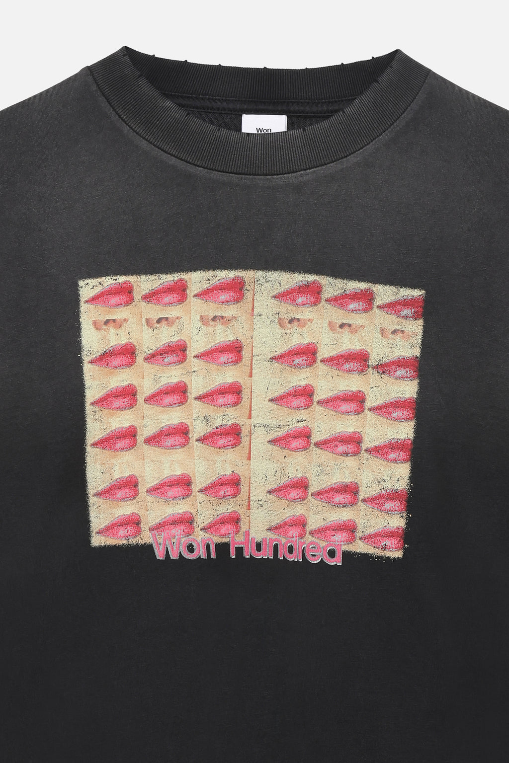 Won Hundred Houston Kisses T-Shirt – Washed Black
