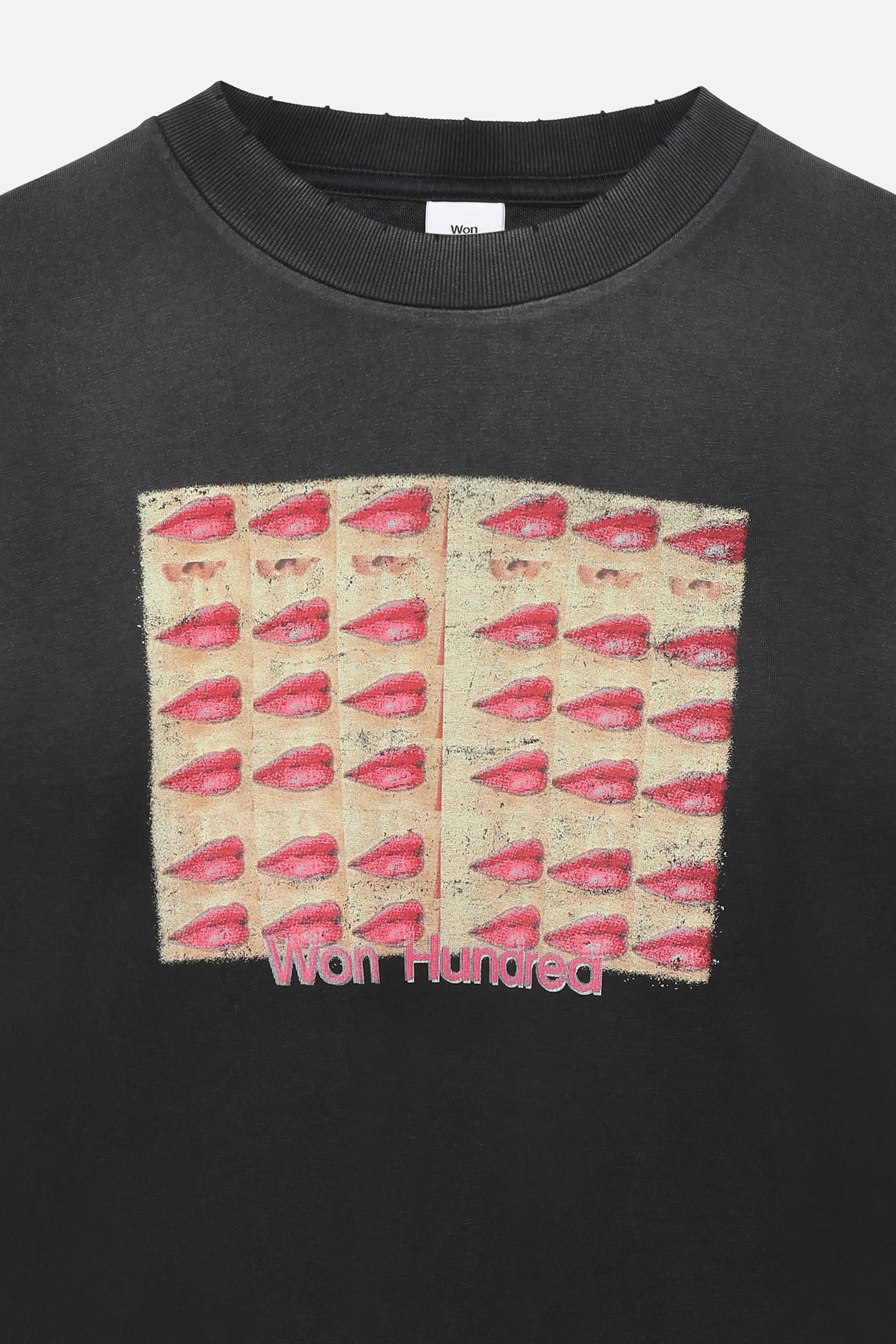 Won Hundred Houston Kisses T-Shirt – Washed Black