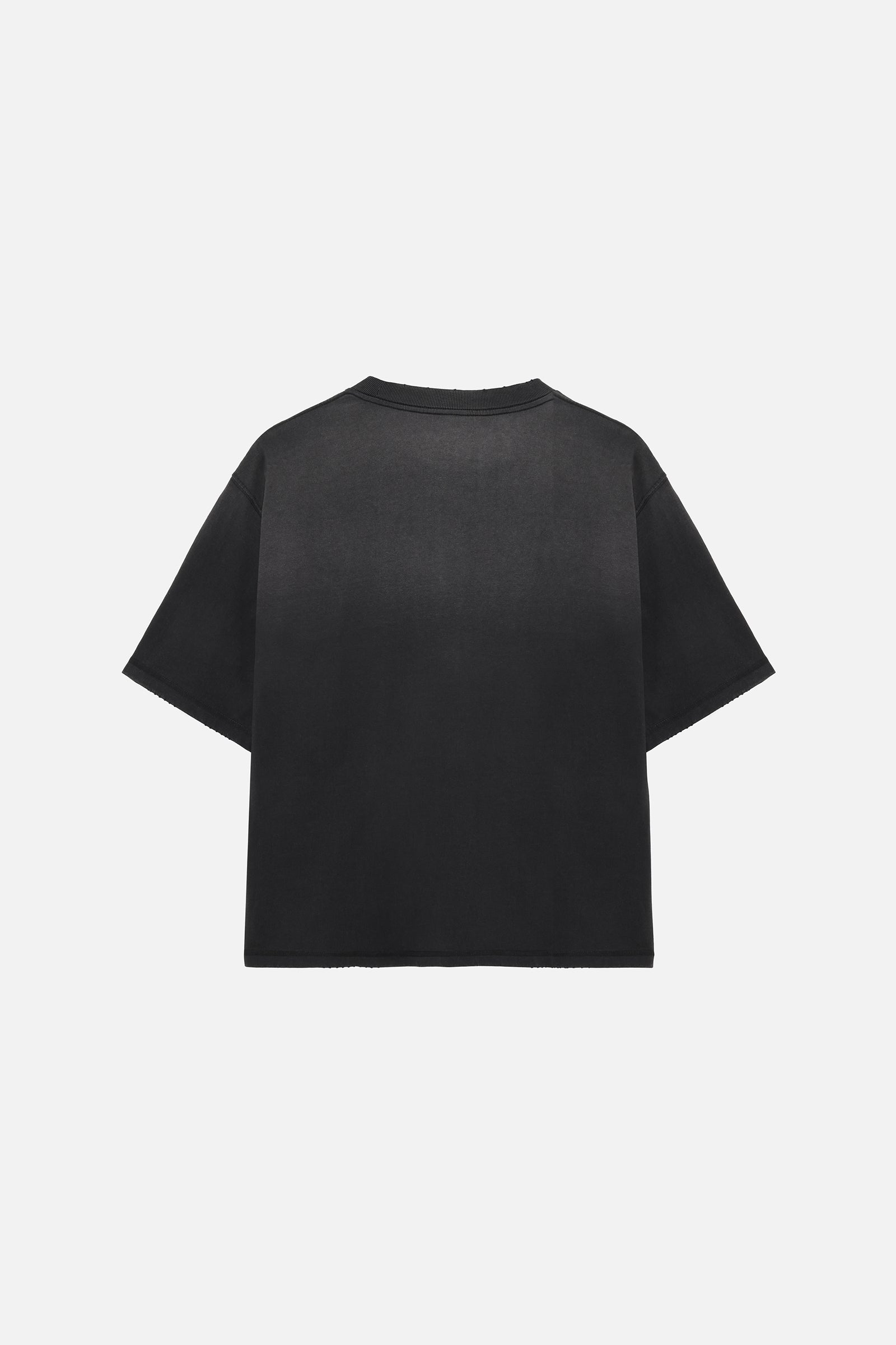 Won Hundred Houston Kisses T-Shirt – Washed Black